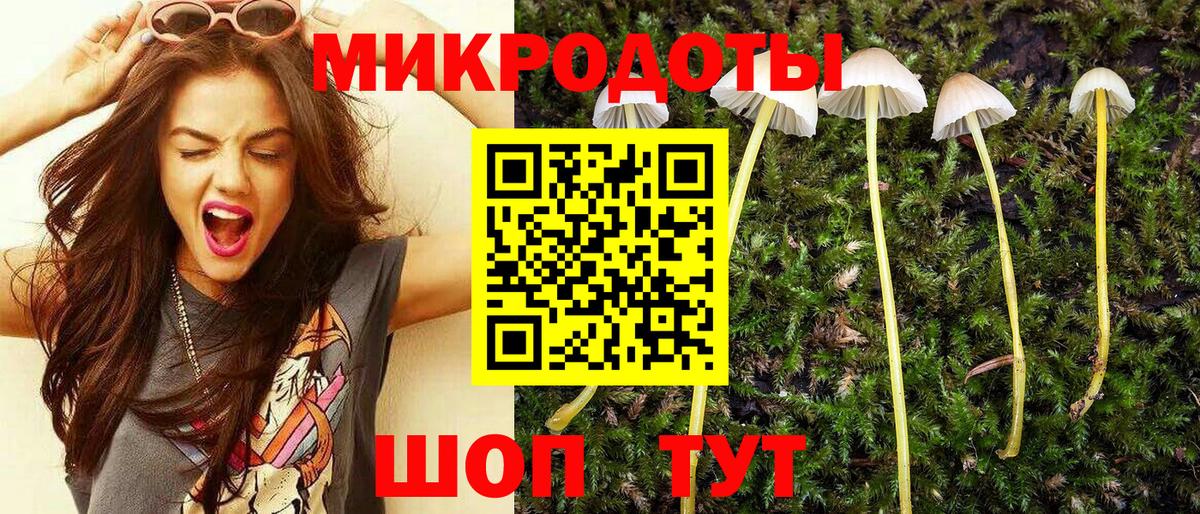 Галлюциногенные грибы Cubensis  Вход с VPN  Морозовск 